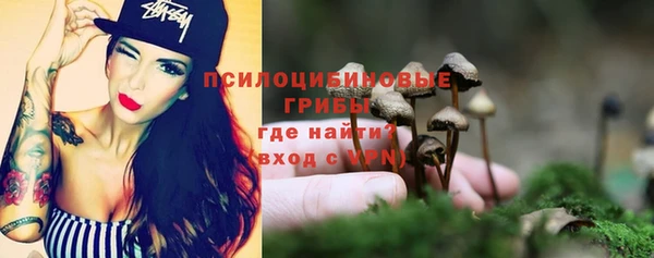 мяу мяу мука Алзамай