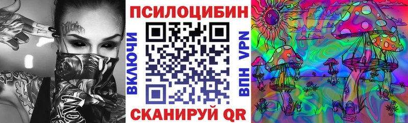 Псилоцибиновые грибы Psilocybine cubensis  где продают наркотики  Гаджиево 